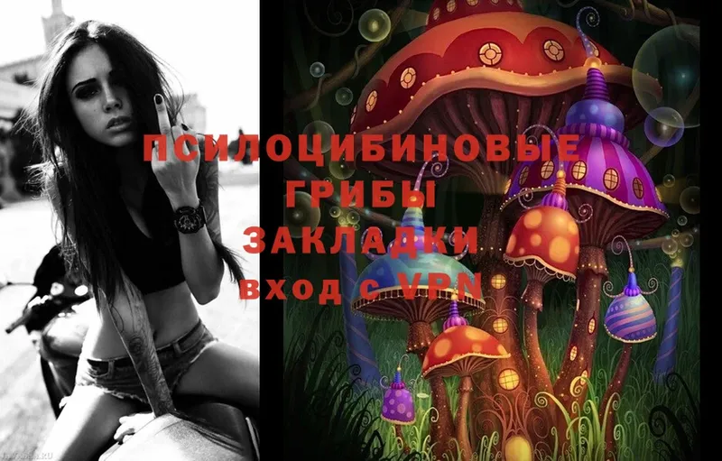 Псилоцибиновые грибы Magic Shrooms  ОМГ ОМГ онион  Печора 